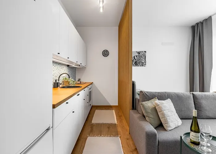 Apartment Terrace&relaxstudio Free Parking *